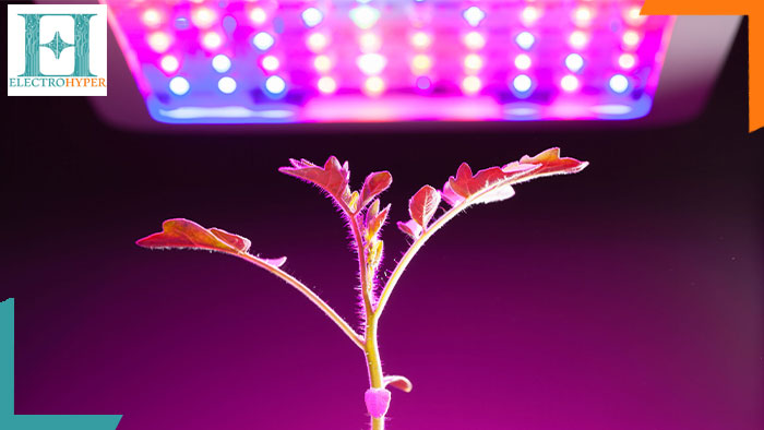 تابش یک لامپ led رشد گیاه